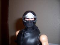 Ninja Gaiden (Ninja Gaiden) Custom Action Figure