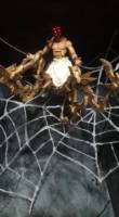 master weaver (Marvel Legends) Custom Action Figure