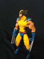 Wolverine (Marvel Legends) Custom Action Figure