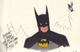 Batman (DC Universe) Custom Action Figure