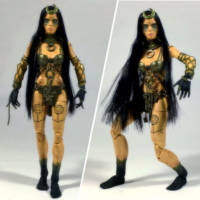 Enchantress (DC Universe) Custom Action Figure