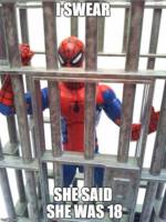 Spider-Man 60s animated (Marvel Legends) Custom Action Figure