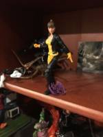 Kitty Pryde (Battlecat Shadowcat) (Marvel Legends) Custom Action Figure