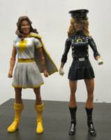 Lady Blackhawk (DC Universe) Custom Action Figure