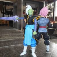 Zamasu (Dragonball Z) Custom Action Figure