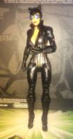 Catwoman (Batman - Arkham Origins) Custom Action Figure