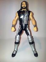 Seth Rollins (Wrestling) Custom Action Figure
