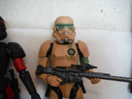 Stormtroopers (Star Wars) Custom Action Figure