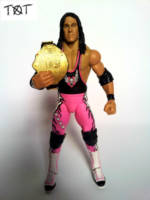 Bret Hart WCW (Wrestling) Custom Action Figure