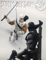 Storm Shadow ML style (G.I. Joe) Custom Action Figure