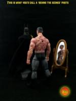 Bruce Wayne (Alex Ross "Scars) (Marvel Legends) Custom Action Figure