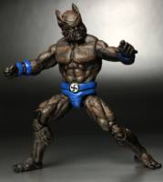 Sea Wolf (DC Infinite Heroes) Custom Action Figure