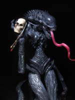 Jerry the alien (Aliens) Custom Action Figure