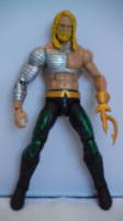 Aquaman (Wrestling) Custom Action Figure