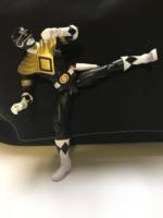 Dragon Armor Black Ranger (Power Rangers) Custom Action Figure