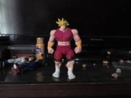 berserker kale (Dragonball Z) Custom Action Figure