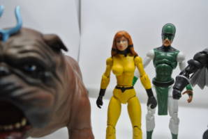 Inhumans (Marvel Universe) Custom Action Figure