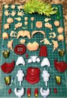 SSJ3 Broly (Dragonball Z) Custom Action Figure