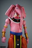 Rumoosh God of Destruction Universe Universe 10 (Dragonball Z) Custom Action Figure