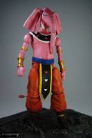 Rumoosh God of Destruction Universe Universe 10 (Dragonball Z) Custom Action Figure