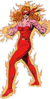 FIREBRAND II Danette Reilly All-Star Squadron (DC Direct) Custom Action Figure