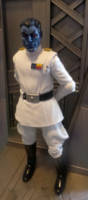 Grand Admiral Thrawn (Star Wars) Custom Action Figure