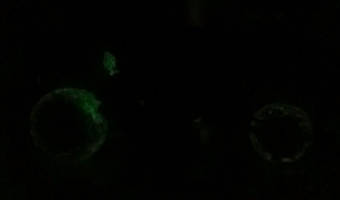 Vengence (Ghost Rider) Custom Action Figure [Glow in the Dark features]