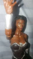 Donna Troy (DCEU concept) (DC Universe) Custom Action Figure