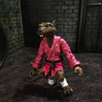 87 cartoon style splinter (Teenage Mutant Ninja Turtles) Custom Action Figure