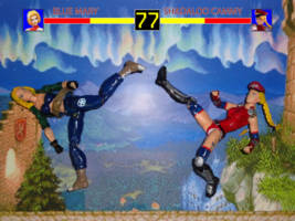 Blue Mary (Fatal Fury) Custom Action Figure