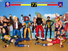 Blue Mary (Fatal Fury) Custom Action Figure