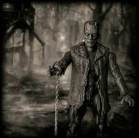 Frankenstein (Monsters) Custom Action Figure