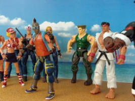 Duck King (Fatal Fury) Custom Action Figure [Here Comes a new challenger]