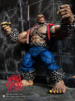 the Pitt (Legendary Comic Book Heroes) Custom Action Figure