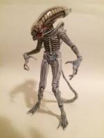 Albino Xenomorph (Aliens) Custom Action Figure [Albino Xenomorph]