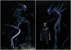 Mature Deacon V2 (Aliens) Custom Action Figure