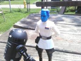 Grand Admiral Thrawn (Star Wars) Custom Action Figure [Grand Admiral Thrawn]