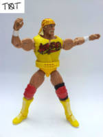 Hulk Hogan WCW (Wrestling) Custom Action Figure