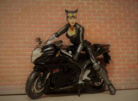Catwoman (DC Universe) Custom Action Figure