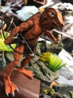 Groock- Bullywog /Hunter (Dungeons and Dragons) Custom Action Figure