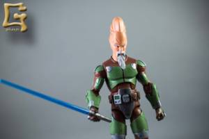Ki-Adi-Mundi (Star Wars) Custom Action Figure