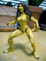Barbara Minerva - Cheetah (DC Universe) Custom Action Figure