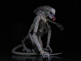 Terry the Alien (Aliens) Custom Action Figure
