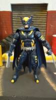 Dark Claw And Sparrow (Amalgam) Custom Action Figure
