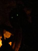 Lagrun, Hunter (Star Wars) Custom Action Figure