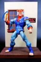Motuc style Tygra (Thundercats classics version 1) (Thundercats) Custom Action Figure