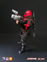 Red Hood Ver 2.0 (DC Universe) Custom Action Figure