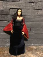 Arwen (Lord of the Rings) Custom Action Figure