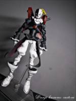 Chaospiedmon (Digimon) Custom Action Figure
