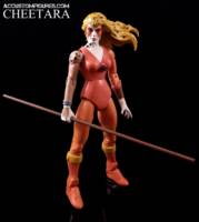 Cheetara (Thundercats MOTUC Style) (Thundercats) Custom Action Figure